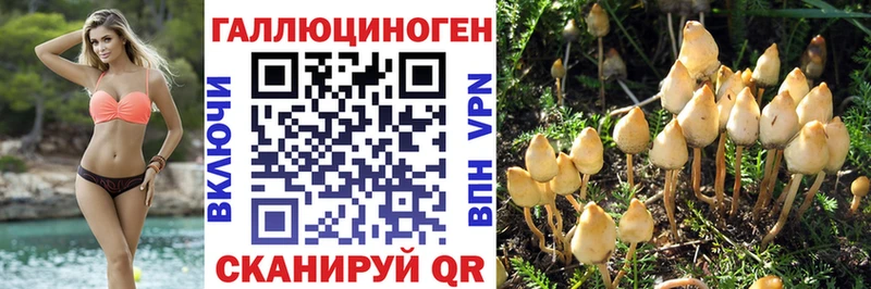 Галлюциногенные грибы ЛСД  Богородицк 